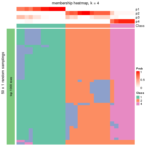 plot of chunk tab-node-023-membership-heatmap-3