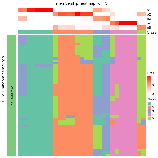 plot of chunk tab-node-023-membership-heatmap-4