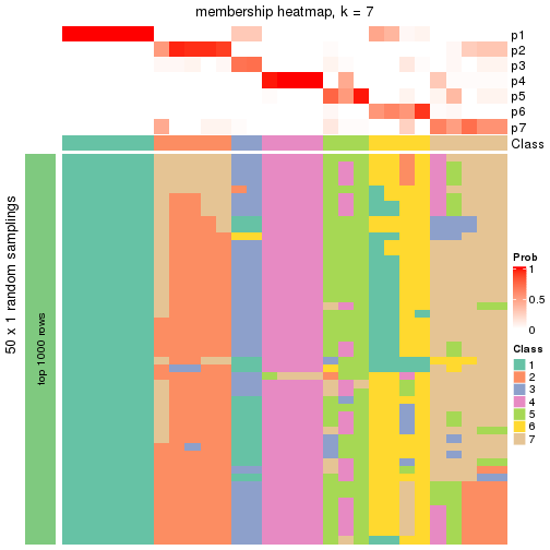 plot of chunk tab-node-023-membership-heatmap-6