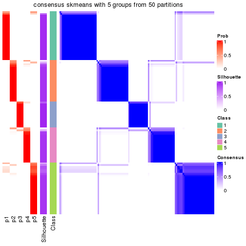 plot of chunk tab-node-03-consensus-heatmap-4