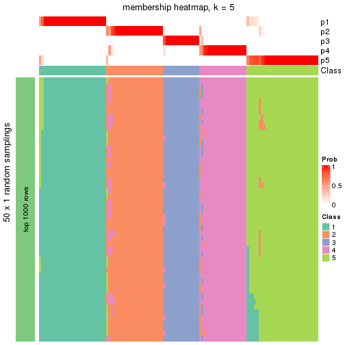 plot of chunk tab-node-03-membership-heatmap-4