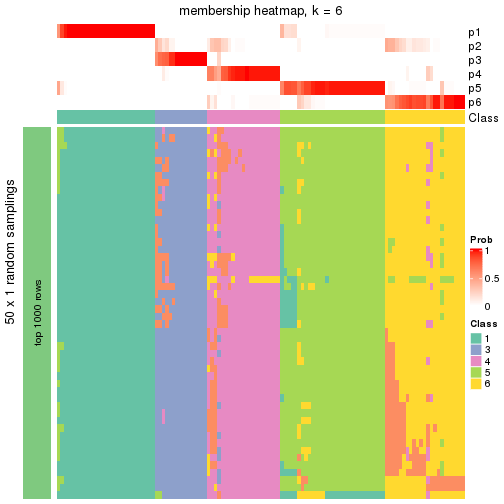 plot of chunk tab-node-03-membership-heatmap-5