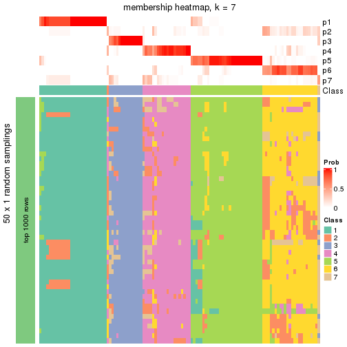 plot of chunk tab-node-03-membership-heatmap-6