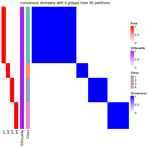 plot of chunk tab-node-031-consensus-heatmap-3