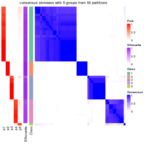 plot of chunk tab-node-031-consensus-heatmap-4