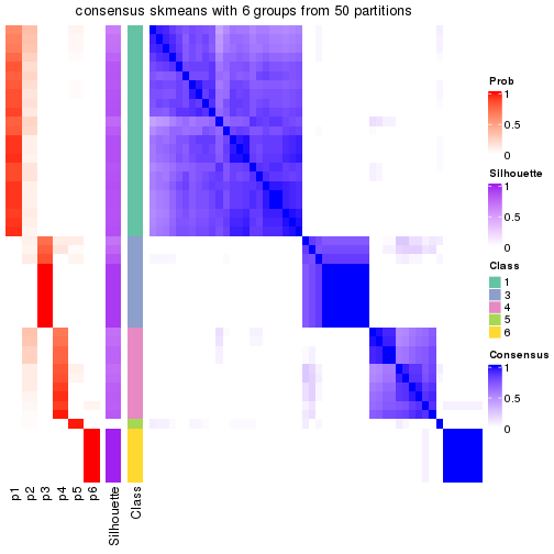 plot of chunk tab-node-031-consensus-heatmap-5