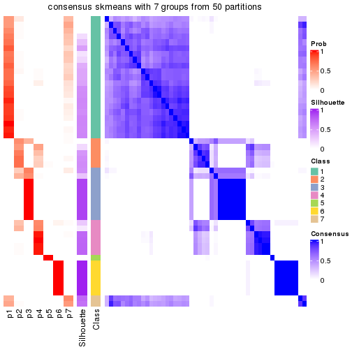 plot of chunk tab-node-031-consensus-heatmap-6