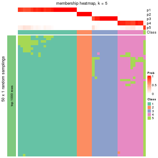 plot of chunk tab-node-031-membership-heatmap-4