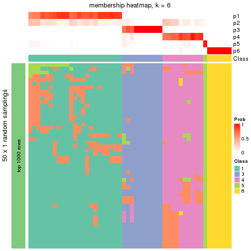 plot of chunk tab-node-031-membership-heatmap-5