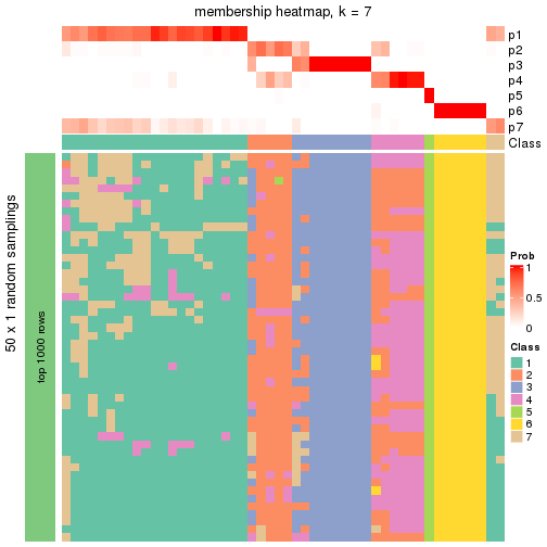 plot of chunk tab-node-031-membership-heatmap-6