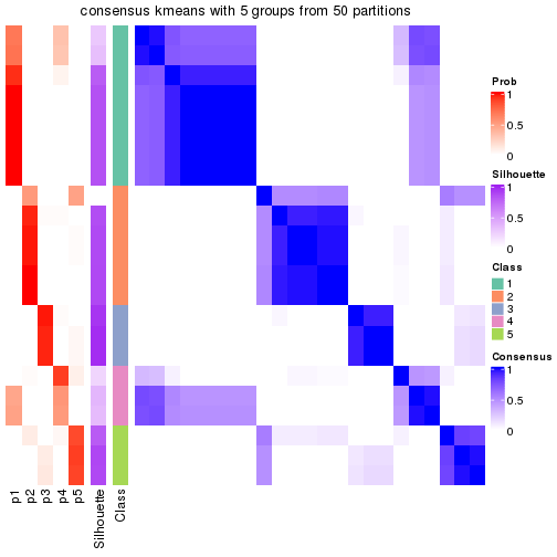 plot of chunk tab-node-0311-consensus-heatmap-4