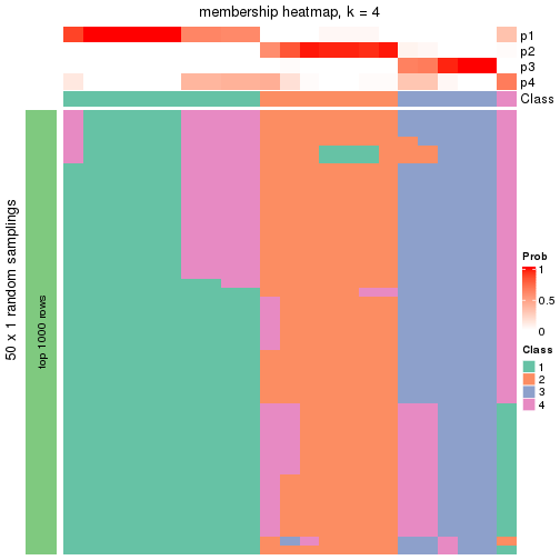 plot of chunk tab-node-0311-membership-heatmap-3