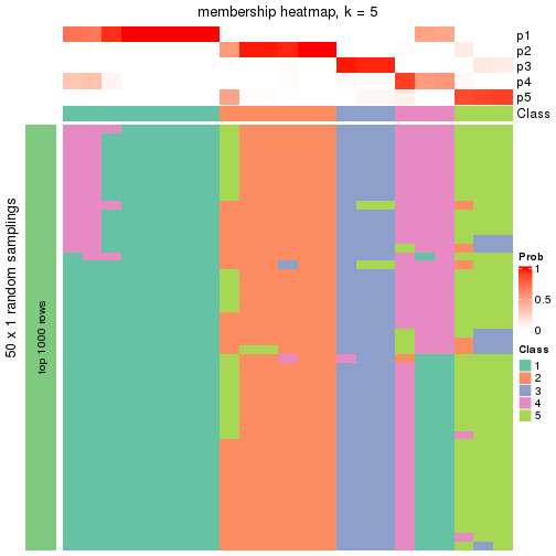 plot of chunk tab-node-0311-membership-heatmap-4