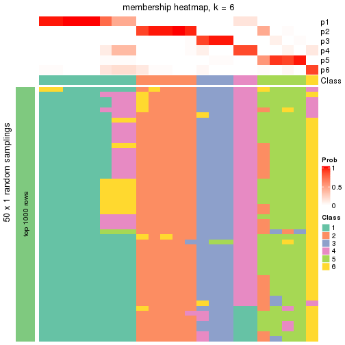 plot of chunk tab-node-0311-membership-heatmap-5