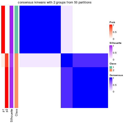 plot of chunk tab-node-033-consensus-heatmap-1