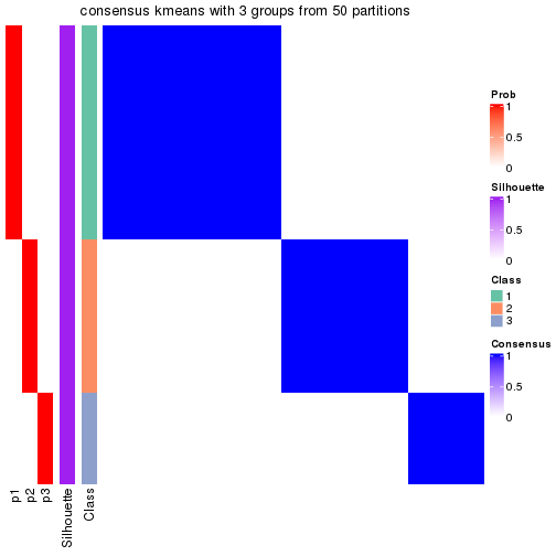 plot of chunk tab-node-033-consensus-heatmap-2