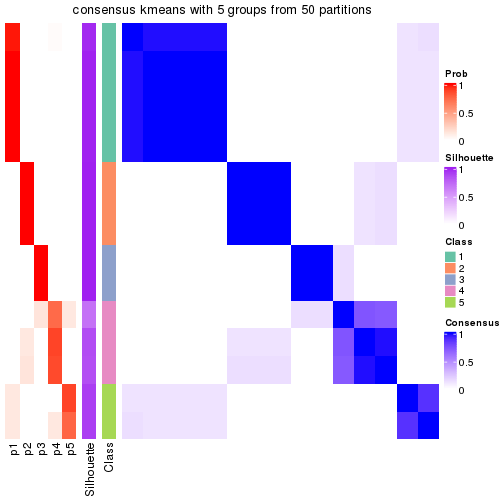 plot of chunk tab-node-033-consensus-heatmap-4