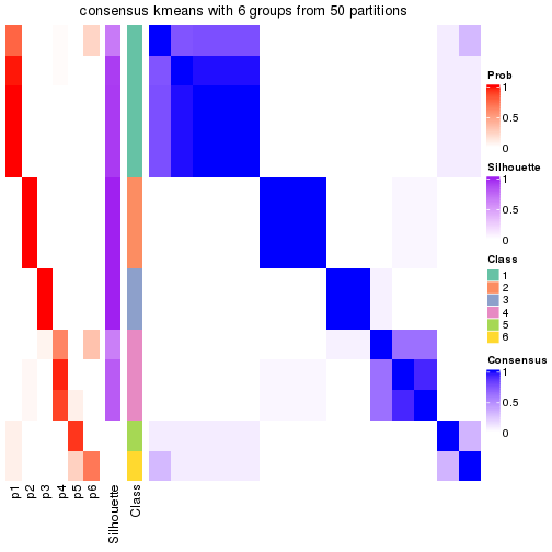 plot of chunk tab-node-033-consensus-heatmap-5