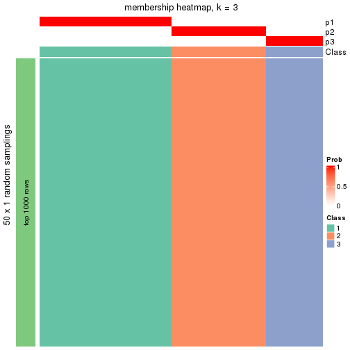 plot of chunk tab-node-033-membership-heatmap-2