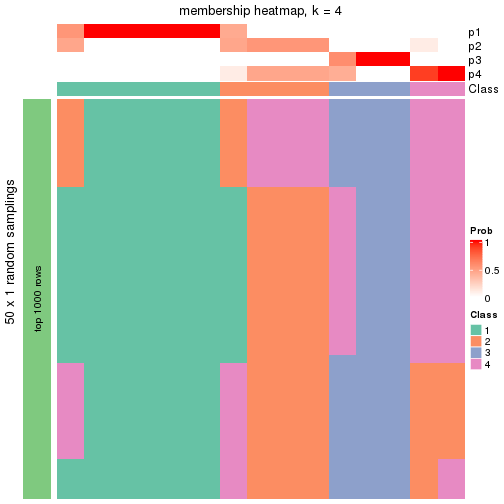 plot of chunk tab-node-033-membership-heatmap-3