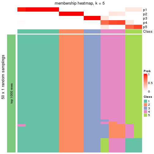 plot of chunk tab-node-033-membership-heatmap-4