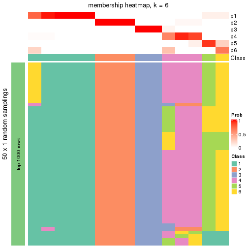 plot of chunk tab-node-033-membership-heatmap-5