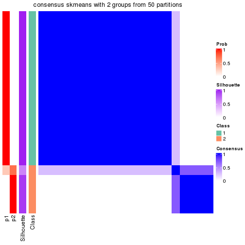 plot of chunk tab-node-034-consensus-heatmap-1