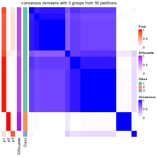 plot of chunk tab-node-034-consensus-heatmap-2