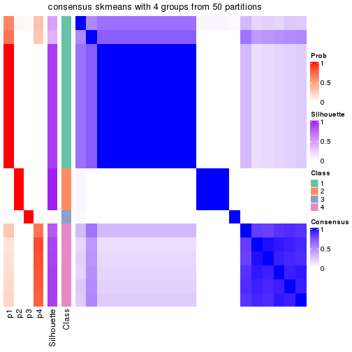 plot of chunk tab-node-034-consensus-heatmap-3