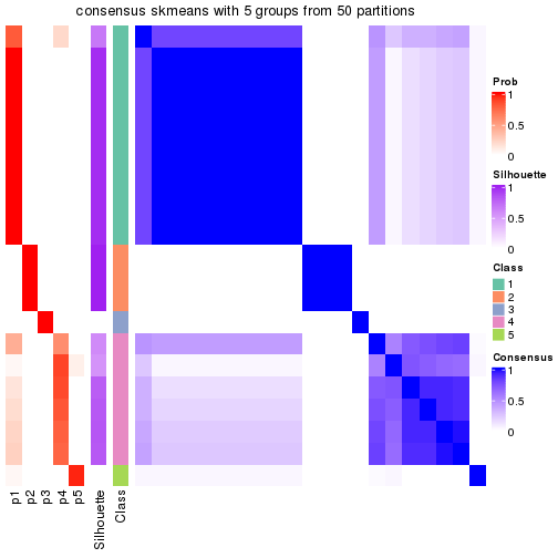 plot of chunk tab-node-034-consensus-heatmap-4