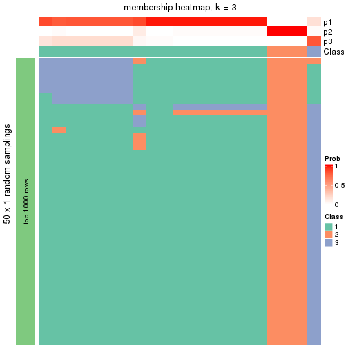 plot of chunk tab-node-034-membership-heatmap-2