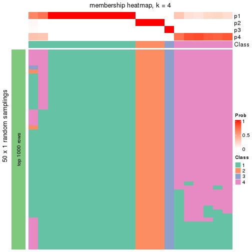 plot of chunk tab-node-034-membership-heatmap-3