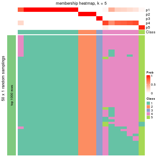 plot of chunk tab-node-034-membership-heatmap-4