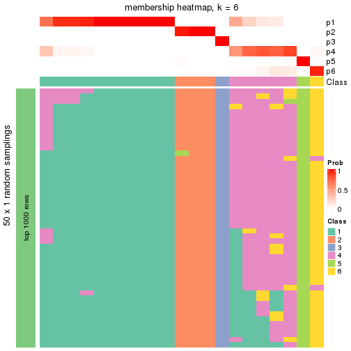 plot of chunk tab-node-034-membership-heatmap-5