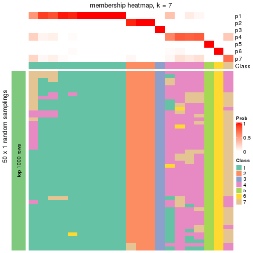 plot of chunk tab-node-034-membership-heatmap-6