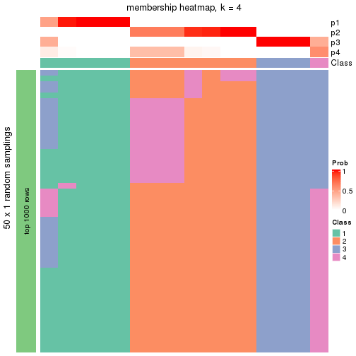 plot of chunk tab-node-0341-membership-heatmap-3