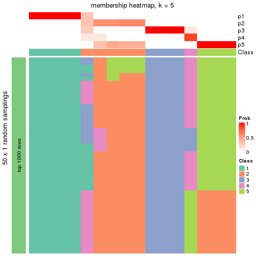 plot of chunk tab-node-0341-membership-heatmap-4