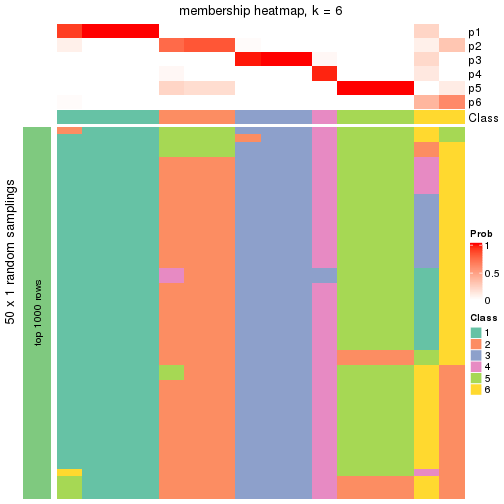 plot of chunk tab-node-0341-membership-heatmap-5