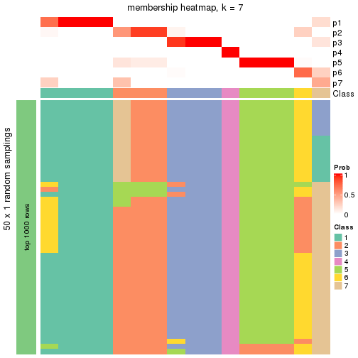 plot of chunk tab-node-0341-membership-heatmap-6