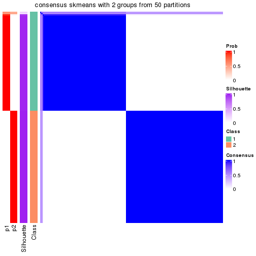 plot of chunk tab-node-0-consensus-heatmap-1