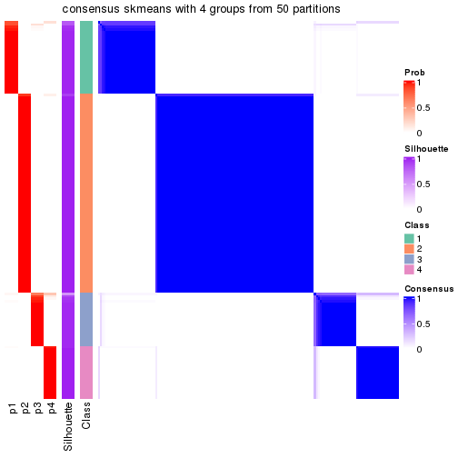 plot of chunk tab-node-0-consensus-heatmap-3