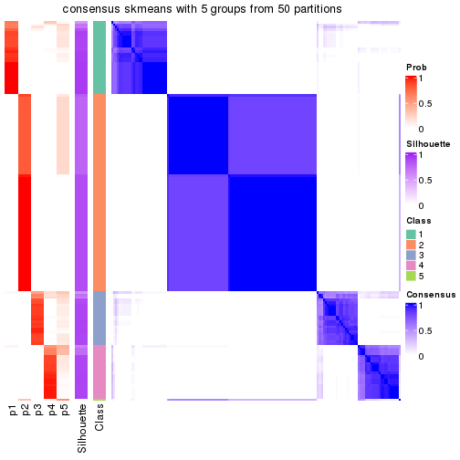 plot of chunk tab-node-0-consensus-heatmap-4