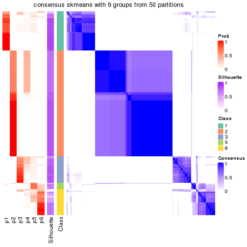 plot of chunk tab-node-0-consensus-heatmap-5