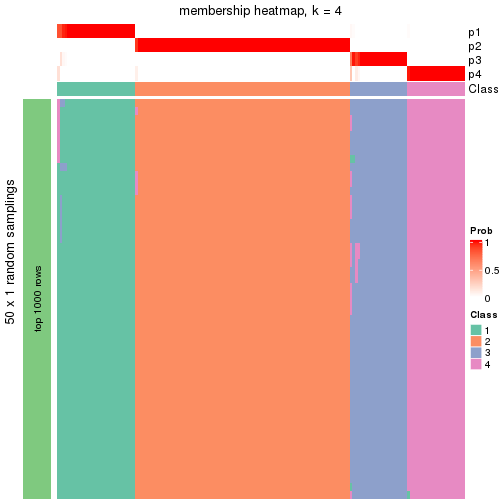 plot of chunk tab-node-0-membership-heatmap-3