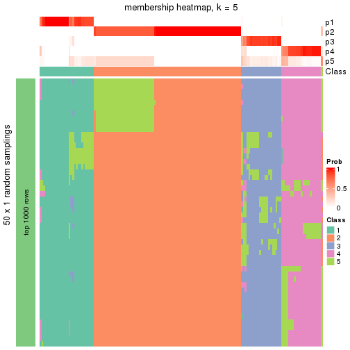 plot of chunk tab-node-0-membership-heatmap-4