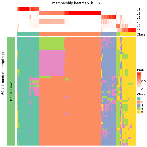 plot of chunk tab-node-0-membership-heatmap-5