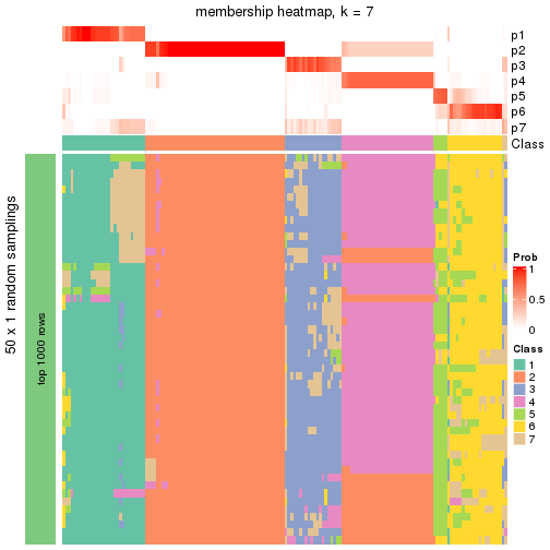 plot of chunk tab-node-0-membership-heatmap-6