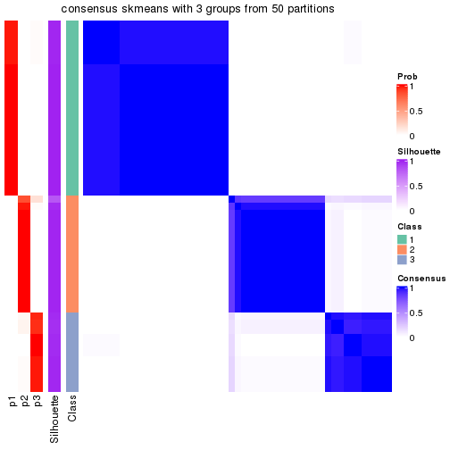 plot of chunk tab-node-01-consensus-heatmap-2