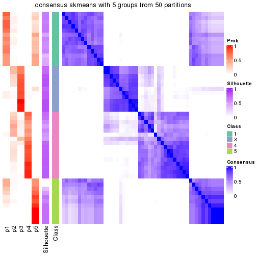 plot of chunk tab-node-01-consensus-heatmap-4