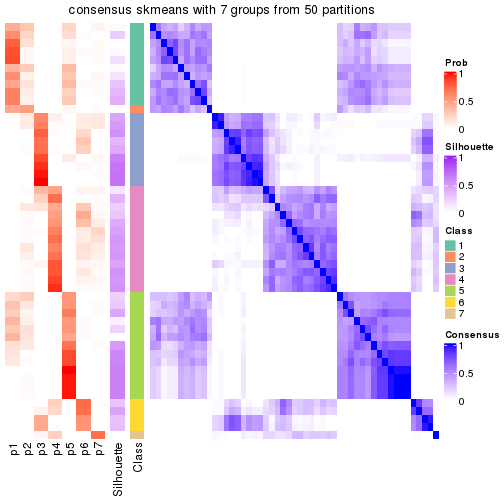 plot of chunk tab-node-01-consensus-heatmap-6